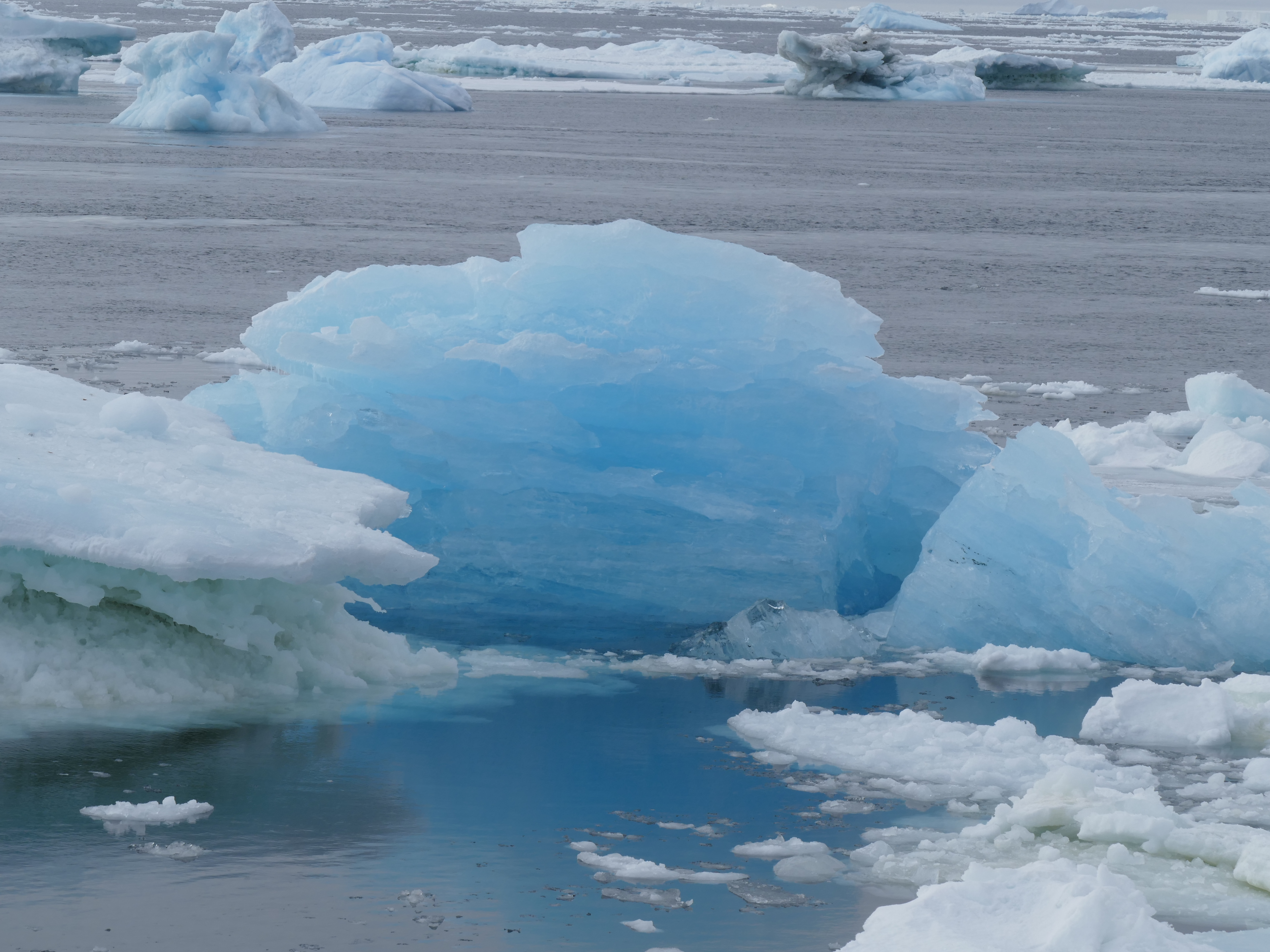Icebergs melting in the Weddell Sea